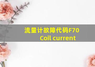 流量计故障代码F70 Coil current